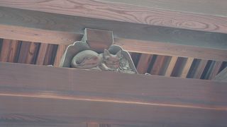 四天王寺に猫の門があります