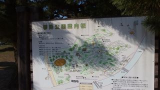 松が見事な海辺の公園