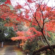 隠れた紅葉の名所