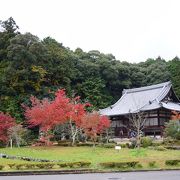 紅葉狩りに寄ってみました