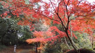 隠れた紅葉の名所