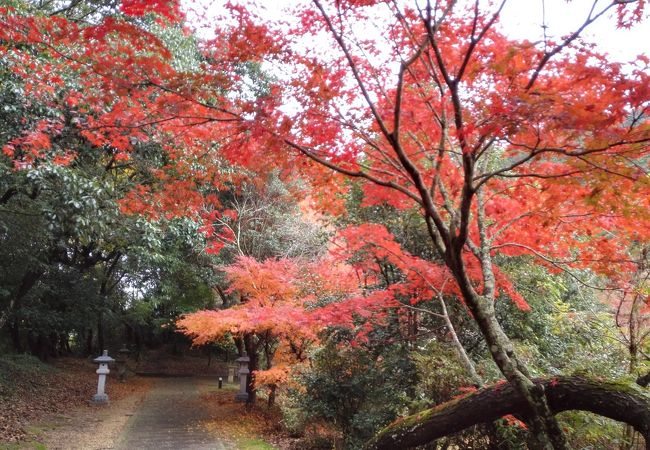 隠れた紅葉の名所