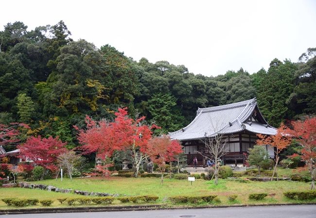 紅葉狩りに寄ってみました