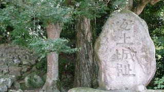 築城主は織田信長です