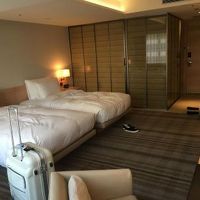 写真と相違なし