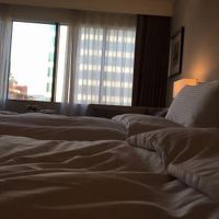 窓も大きくてひらけてる