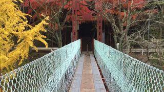 紅葉が綺麗でした！