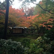 庭園の奥には茶室があります。