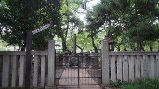 つい疑ってしまいますが