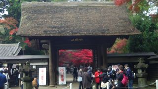 臨済宗の名刹です