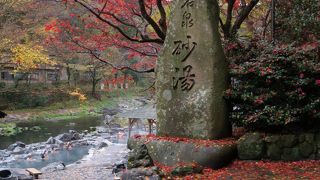 野猿になった気持ちで