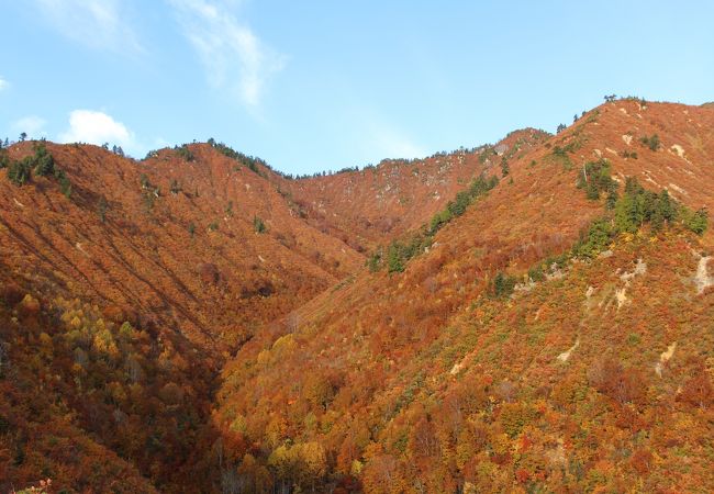 紅葉登山、頂上までたどり着けず。でも途中の紅葉はすばらしい。