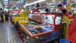 早朝の観光に便利