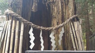 パワーを感じられます