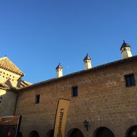 お城…青空に映えていい感じです