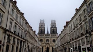 オルレアンのシンボル