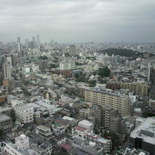 展望ラウンジからの眺望です。東京都の都市空間を楽しめます。