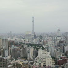 展望ラウンジからの眺望です。スカイツリーも、間近に見えます。