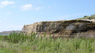 ずーっと続いています。