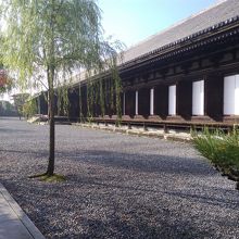 落ち着いた雰囲気です