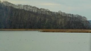 冬場は寒々としている