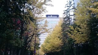 無料の展望エリアがあります