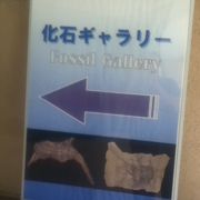 白亜紀の化石などが展示されている