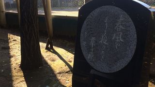 ナイター設備あり