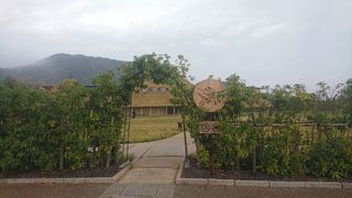 限定商品のバームサンドが美味しい！