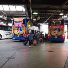 メガバスを後ろから。