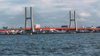 ヒメウが見られます。