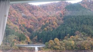 遊覧コースがお勧め