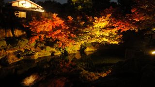 徳川園の紅葉は今からが見ごろです!