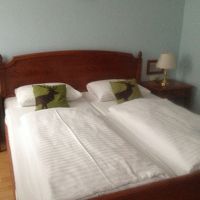 シカのクッションがかわいい