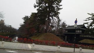 静かな公園の中に、季節の変遷のダイナミックな動きを感じてきました。