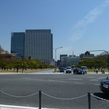 芝生に御所透かしの松の並木が・・・