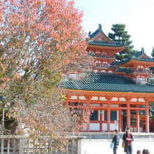 手前の木が左近桜です