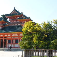 手前の木が右近橘です