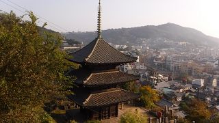 朝日に輝く美しい姿