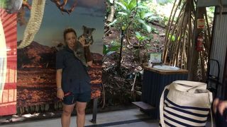 コアラ抱っこの夢かなう