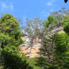 崖下の林の中を歩けます