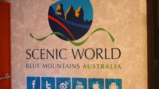 4種類の手段で森を廻れます