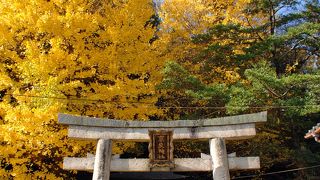 夏には太鼓祭りが行われます！