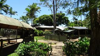 自然と文化を体感できるテーマパーク