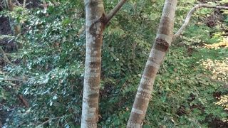 女坂の七不思議　その４