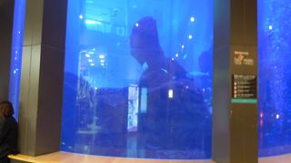 フェリー乗り場に隣接したショッピングエリア