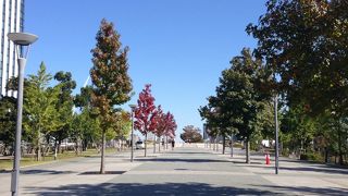 でっかい歩道橋