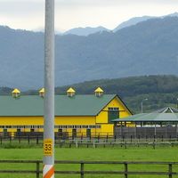 近隣の牧場の風景