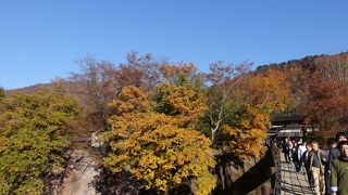 景色に溶け込む吊り橋です