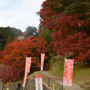 全山紅葉に染まる名所地